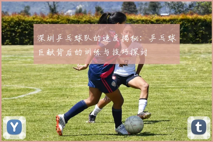 深圳乒乓球队的速度揭秘：乒乓球巨献背后的训练与技巧探讨