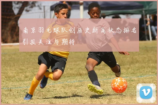 南京羽毛球队创历史新高状态排名引发关注与期待