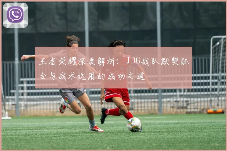 王者荣耀深度解析：JDG战队默契配合与战术运用的成功之道