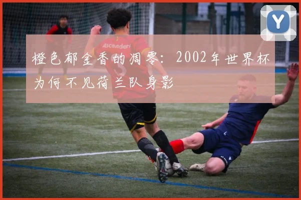 橙色郁金香的凋零：2002年世界杯为何不见荷兰队身影